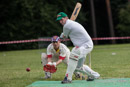 Cricket in Vingiu Parkas Lithuania